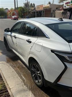 Dongfeng Shine